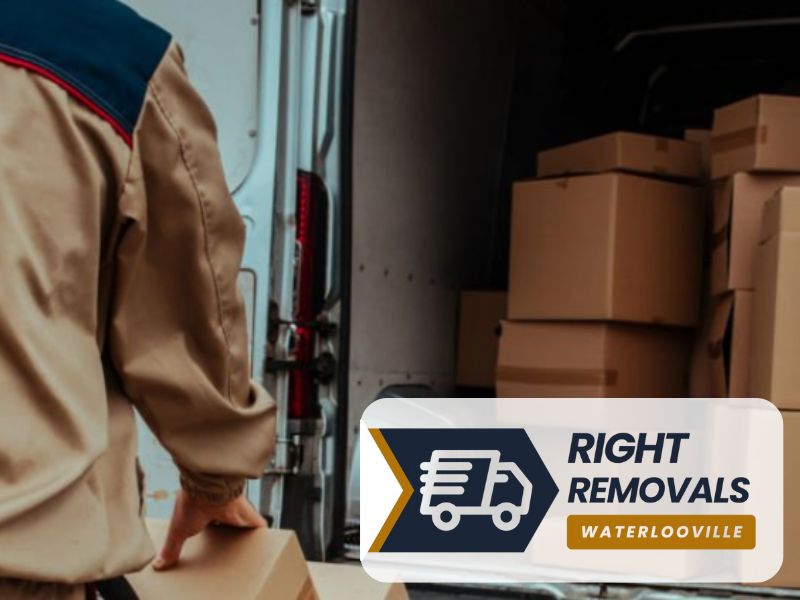 Hampshire Waterlooville man and van PO7