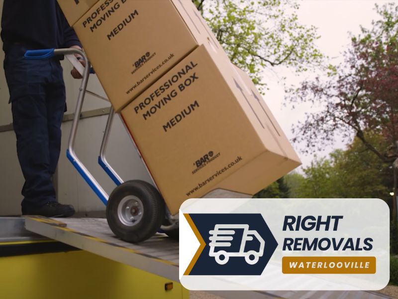 PO7 Waterlooville international and european removals Hampshire