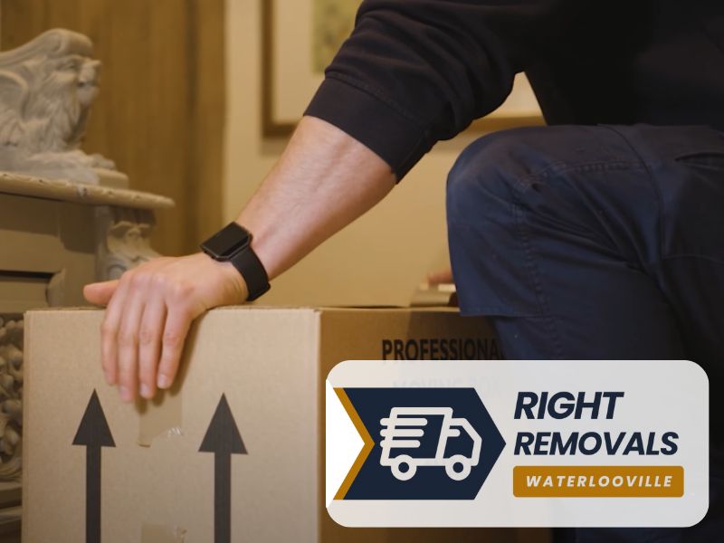 international and european removals Hampshire PO7 Waterlooville