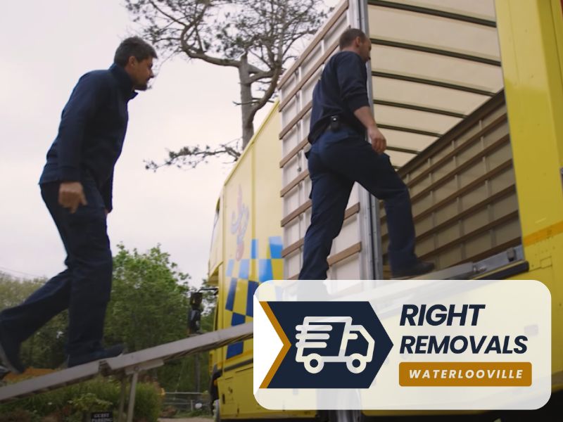 international and european removals PO7 Hampshire Waterlooville
