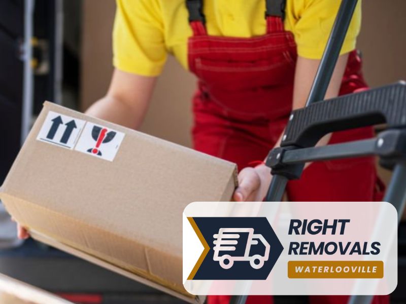 man and van PO7 Waterlooville Hampshire